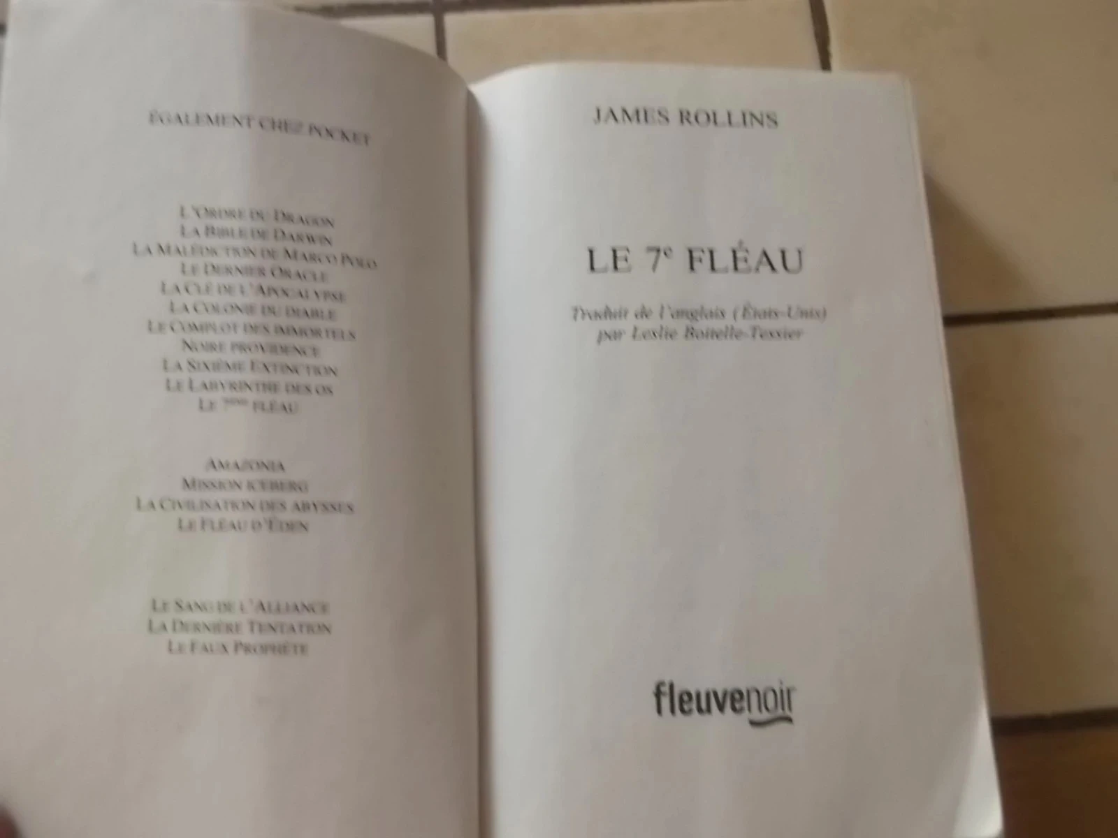 O 7º flagelo – photo 4
